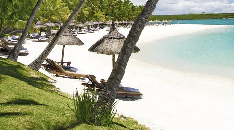 Thatched beach umbrellas