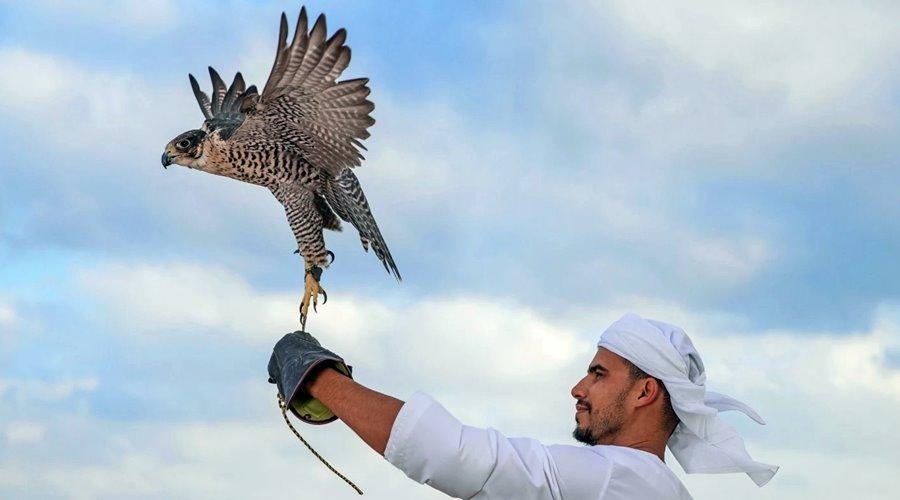 Desert Islands Resort & Spa by Anantara