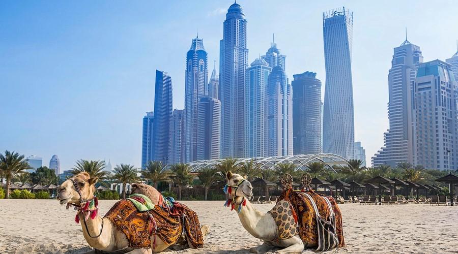 Habtoor Grand Resort