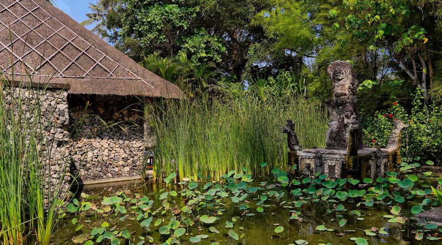 garden fish pond