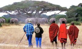 Zanzibar Beach with Tanzania Ngorongoro Safari