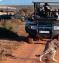 Cape Town, Wine, Joburg and Waterberg Safari