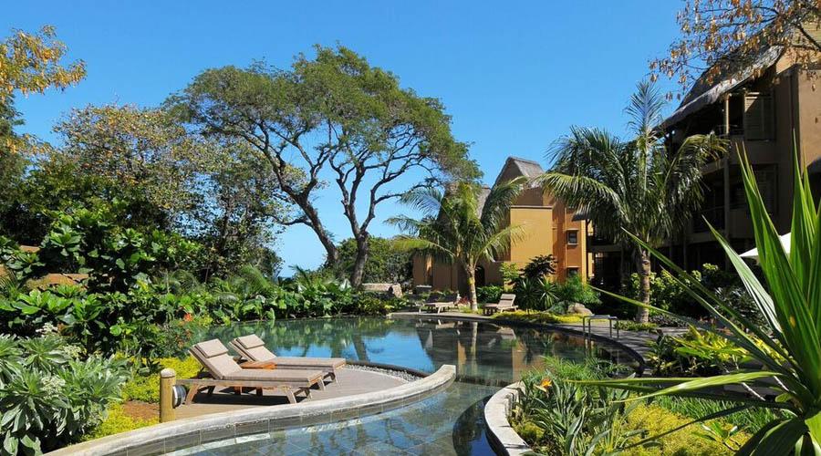 pool and greenery