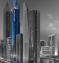 Rose Rayhaan Dubai By Rotana