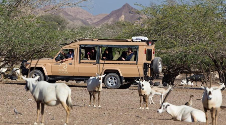 Anantara Sir Bani Yas Island Al Yamm Villa Resort