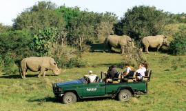 Best of Cape Town, Wineland & Malaria-Free Game Reserve Safari
