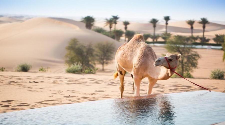 Telal Resort Al Ain
