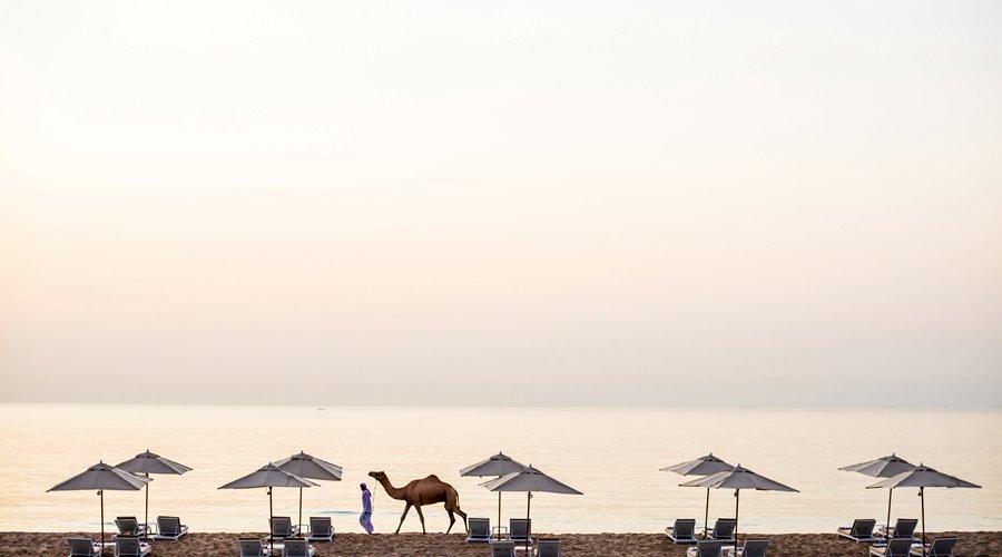 InterContinental Fujairah Resort